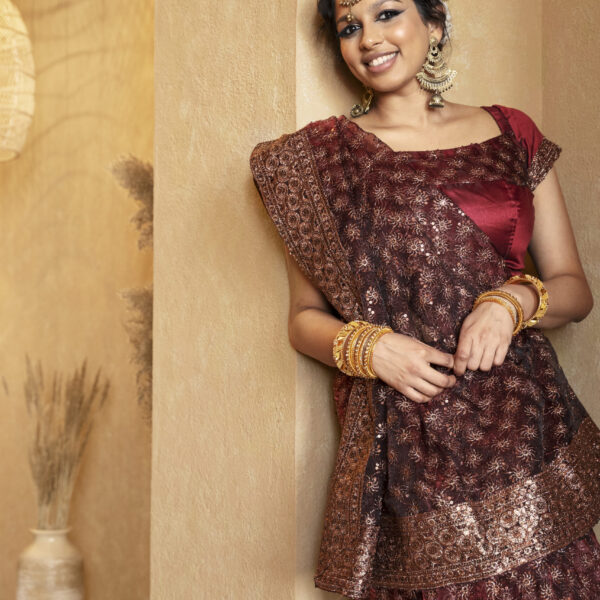 young-indian-woman-wearing-sari